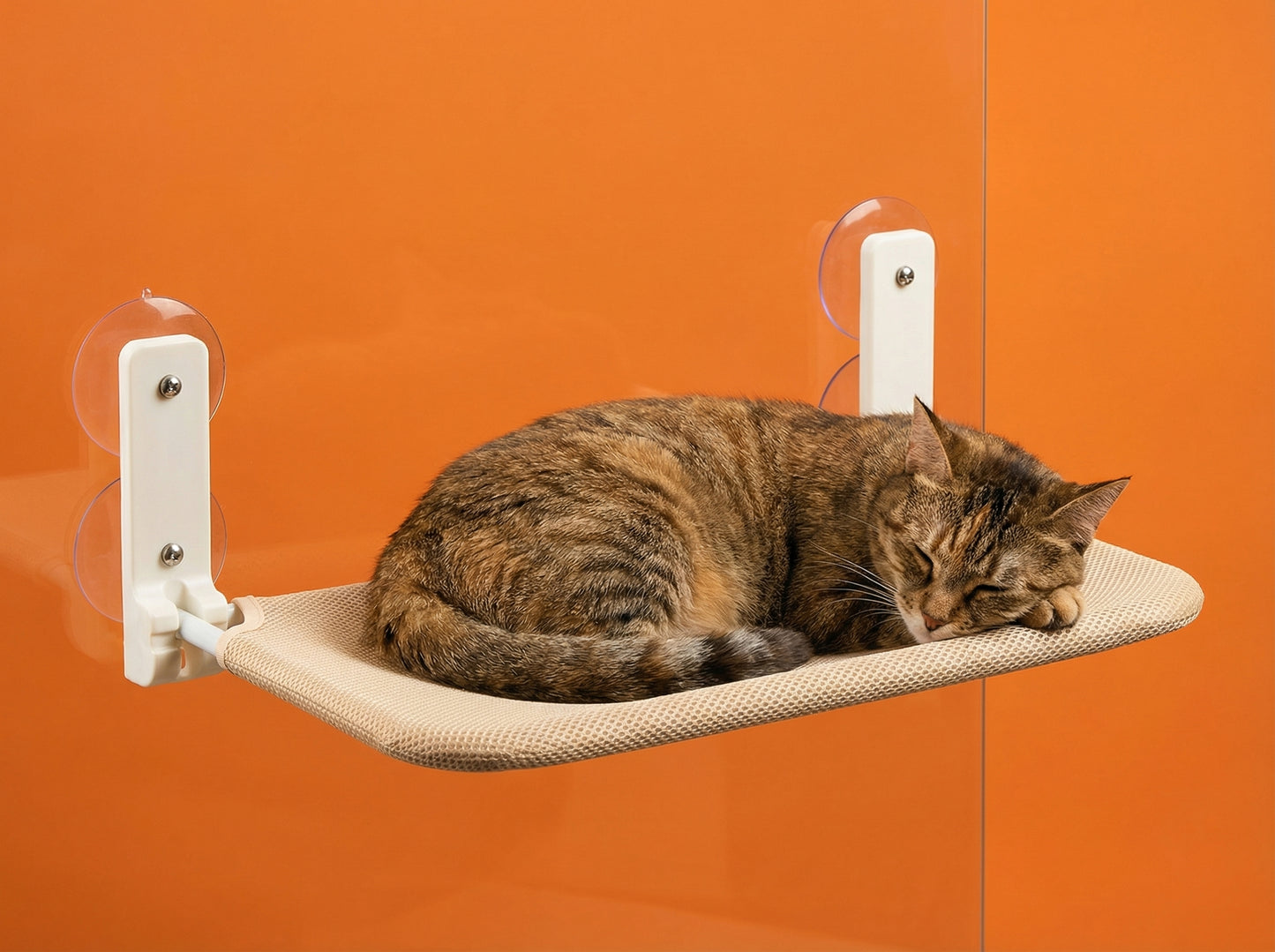 The VelaPet Oasis View